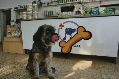 Encuentra tu Veterinaria abierta en Liniers – Cerca de Ti